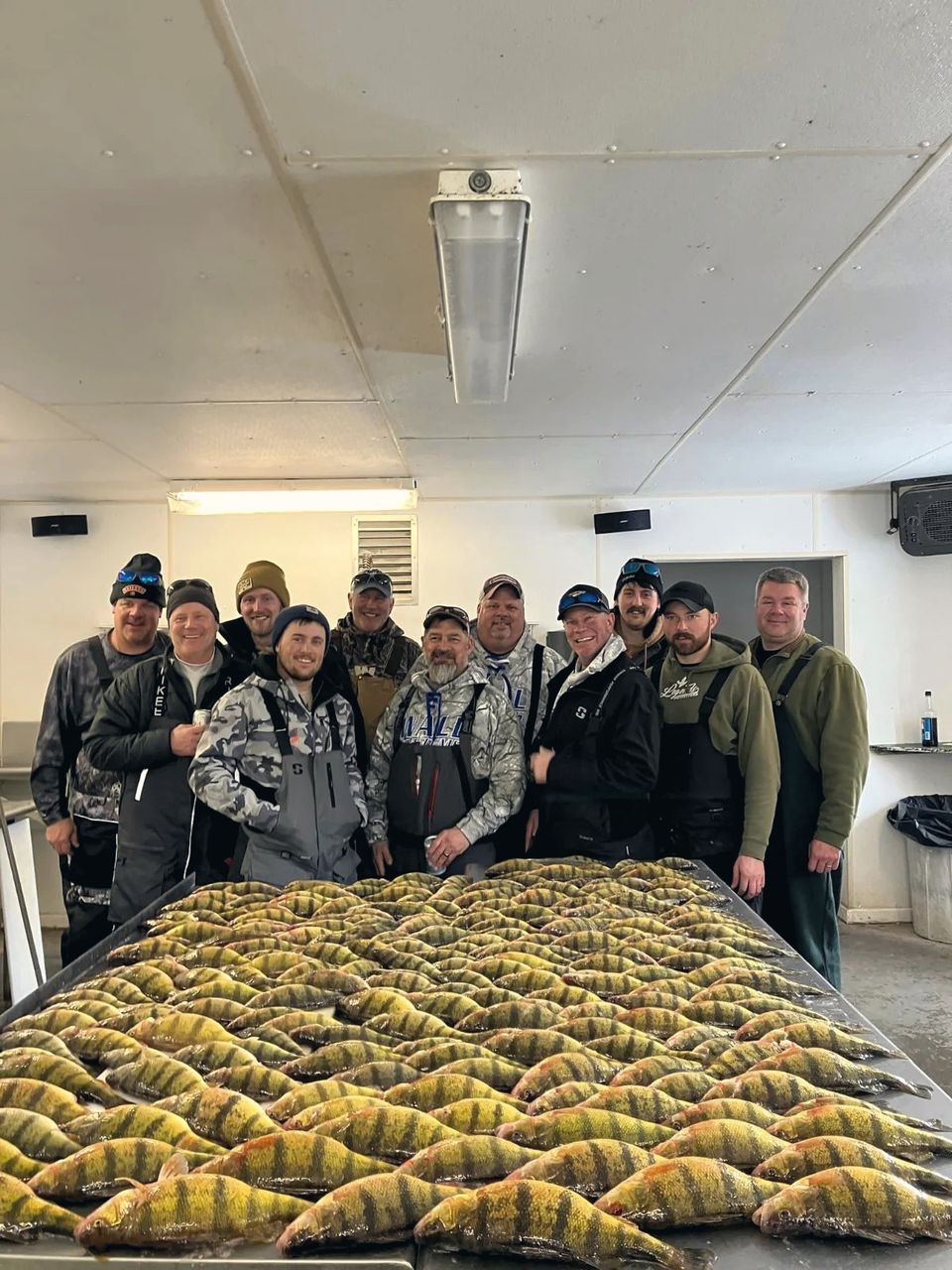 A group of anglers with a table full of perch in the fish cleaning station