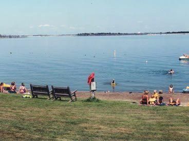 Guests at the Woodland swimming beach