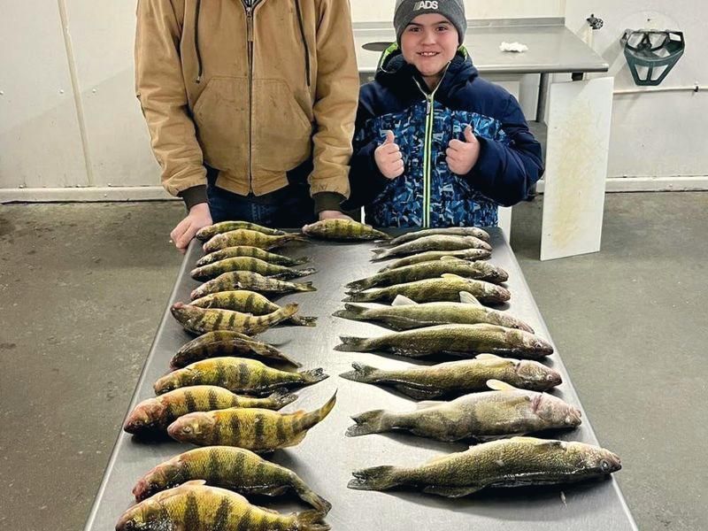 A limit of jumbo perch on the cleaning table
