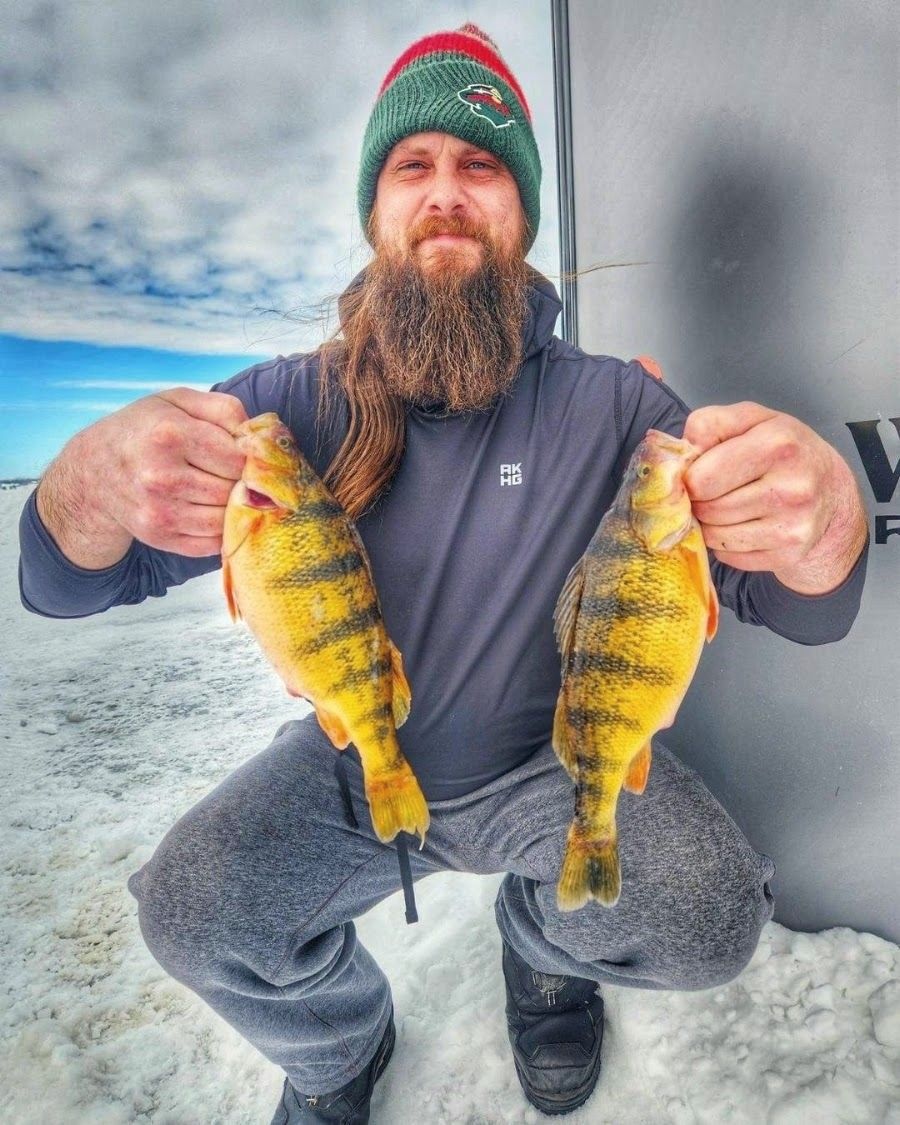 Angler on the ice holding two jumbo perch