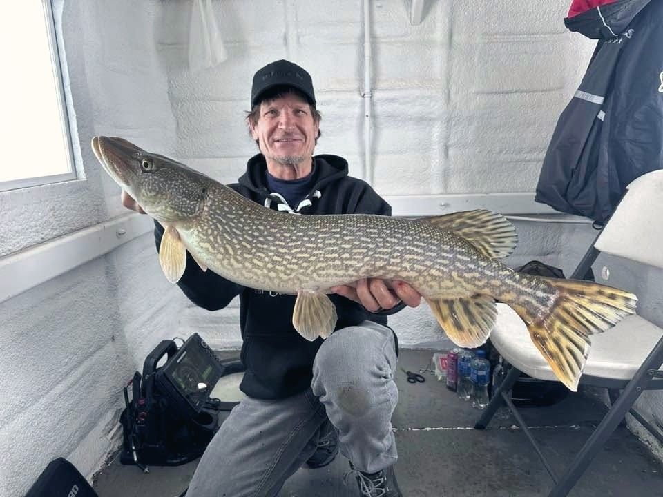 Angler holding a big northern pike in a fish house