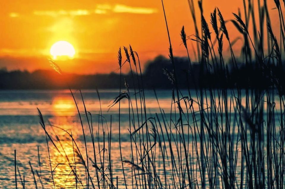 Calm water and reeds on Devils Lake