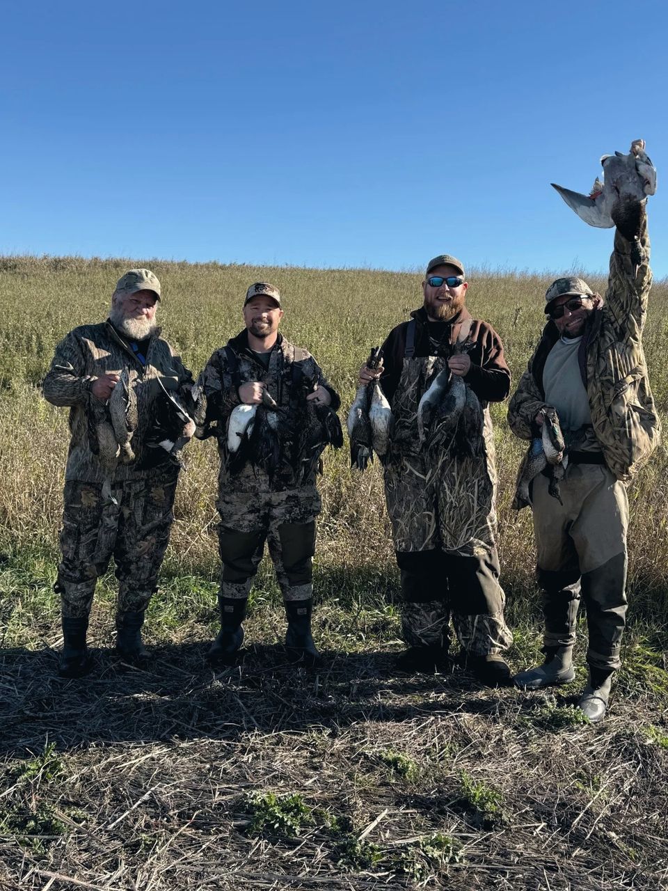 Four hunters in camouflage standing in a North Dakota field holding geese